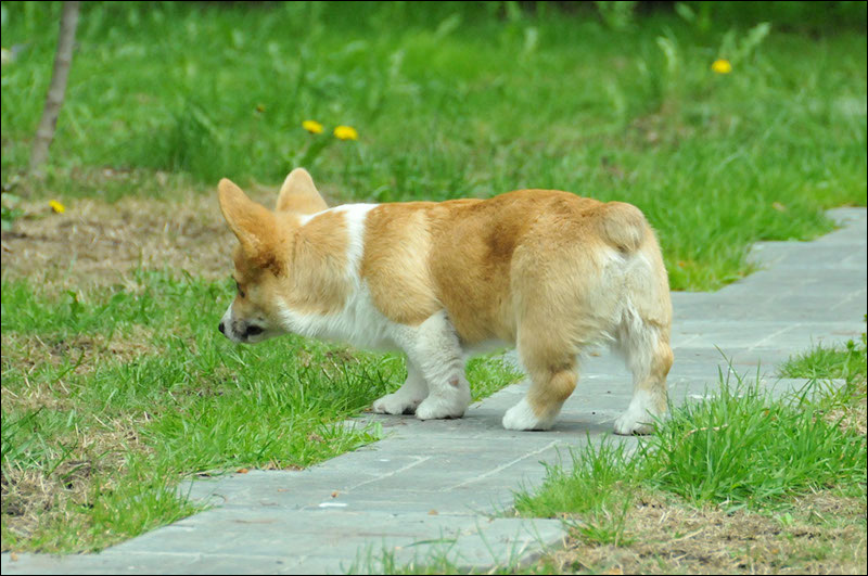 DSC_1414